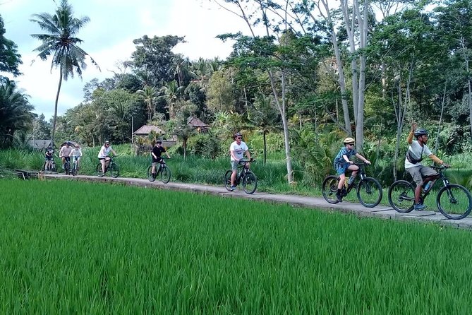 Bali Countryside Cycling Adventure - Pura Taman Narmada Bali Raja: Subak water temple by a small lake