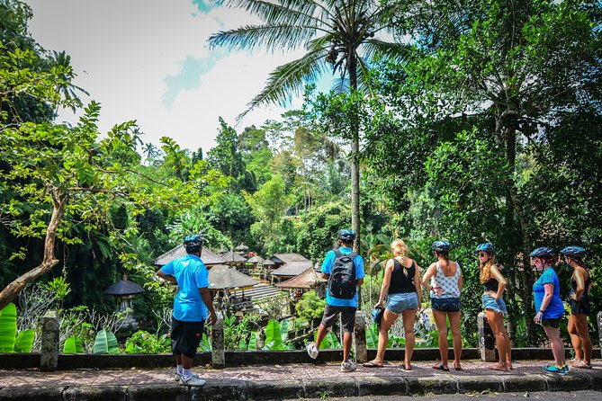 Bali Countryside Cycling Tours - Stop 3: Tegalalang Rice Terrace and how the farming works