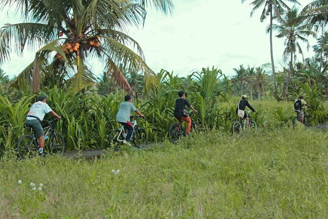 Bali Countryside Eco Cycling Tour include Lunch - Key points to know before you pedal