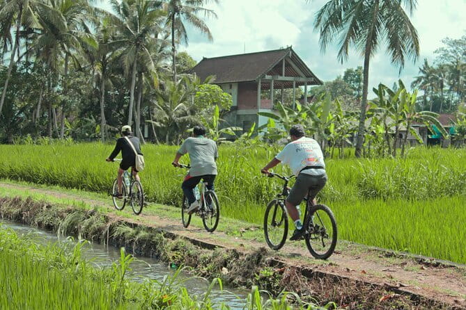 Bali Countryside Eco Cycling Tour include Lunch - Entering Bali’s Rice-Field Quiet from Seminyak
