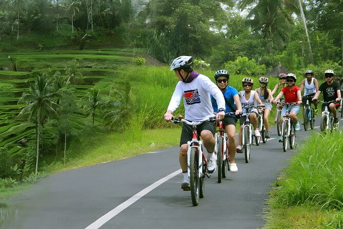 Bali Countryside Eco Cycling Tour include Lunch - The bike ride: easy downhill, with real Bali road texture
