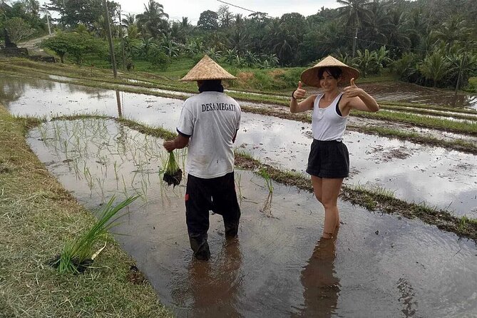 Bali Cultural Heritage Bamboo Forest Tour (Private All Inclusive) - How the price makes sense (and when it might not)