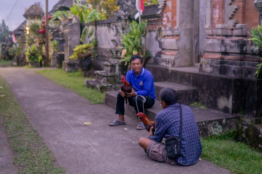 Bali: Cultural Ritual, Local Cuisine & Firefly Adventure - Who should book this Bali experience (and who should skip it)