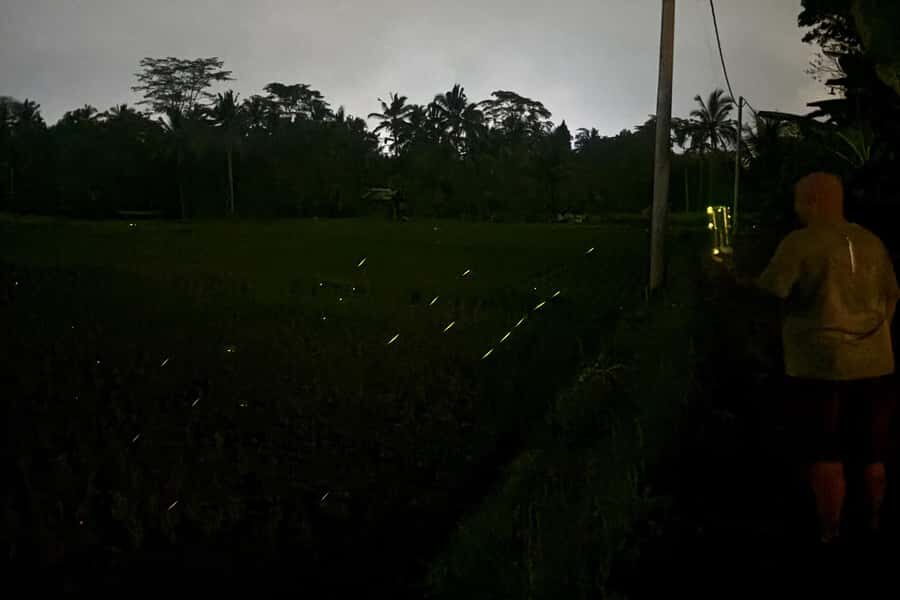 Bali: Cultural Ritual, Local Cuisine & Firefly Adventure - The village tour afterward: how it connects faith, food, and everyday life
