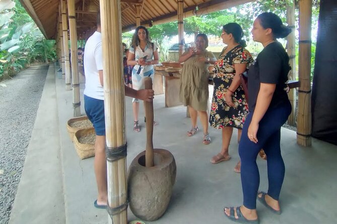 Bali Culture And Spring Temple Private Guided Tour - Tegenungan Waterfall: aiming for light and fewer crowds
