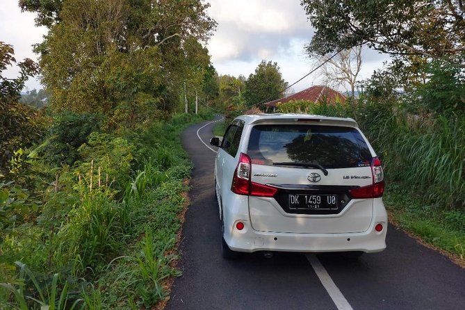 Bali Custom Car Charter - Should You Book Bali Custom Car Charter With Hendra?