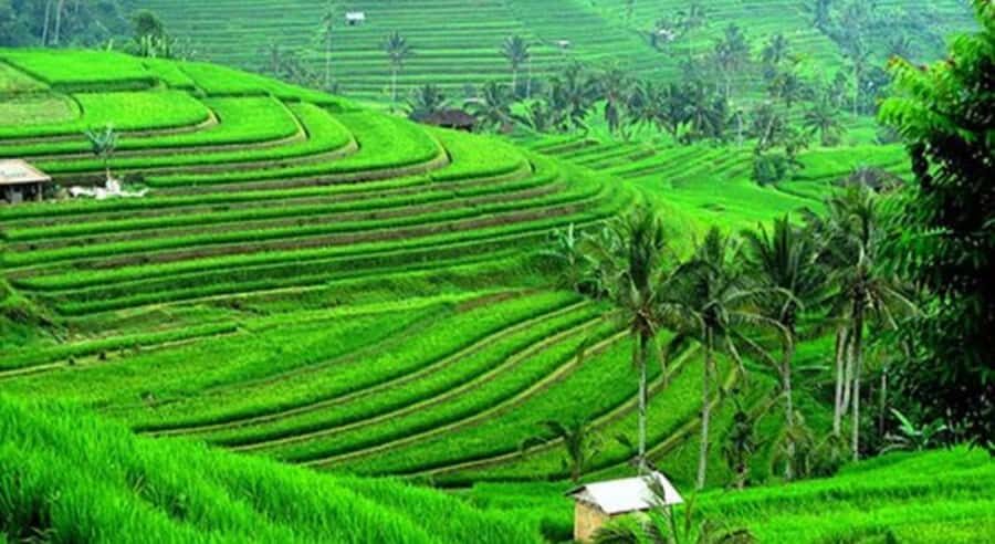 Bali: Customised North Bali Tour With Hotel Transfer - Key takeaways before you go