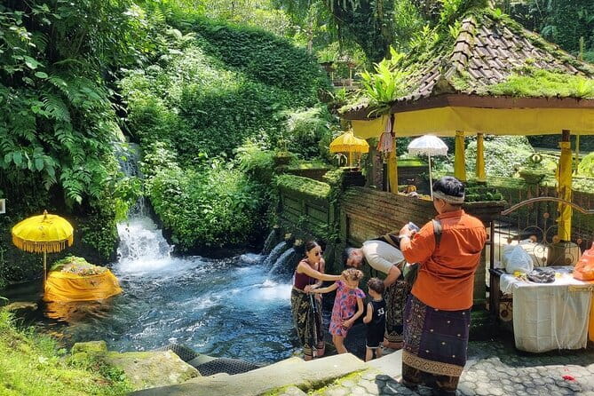Bali Customizable Multi Language Tour with Driver-Guide - What makes this Bali tour work for you
