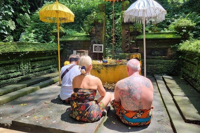 Bali Customizable Multi Language Tour with Driver-Guide - Designing your Bali day from Ubud, not from a fixed schedule