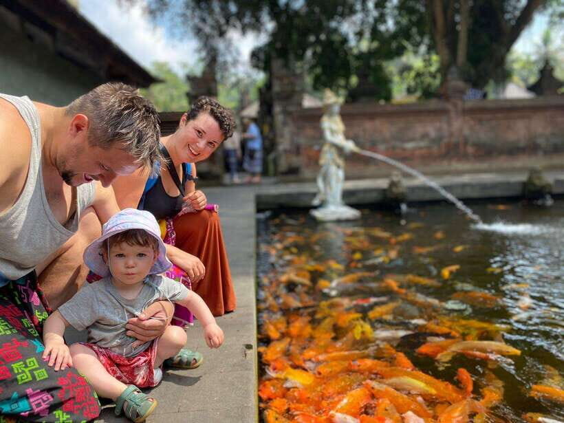 Bali: Customizable Private Tour - Price, What You Get for $64, and How to Think About Value