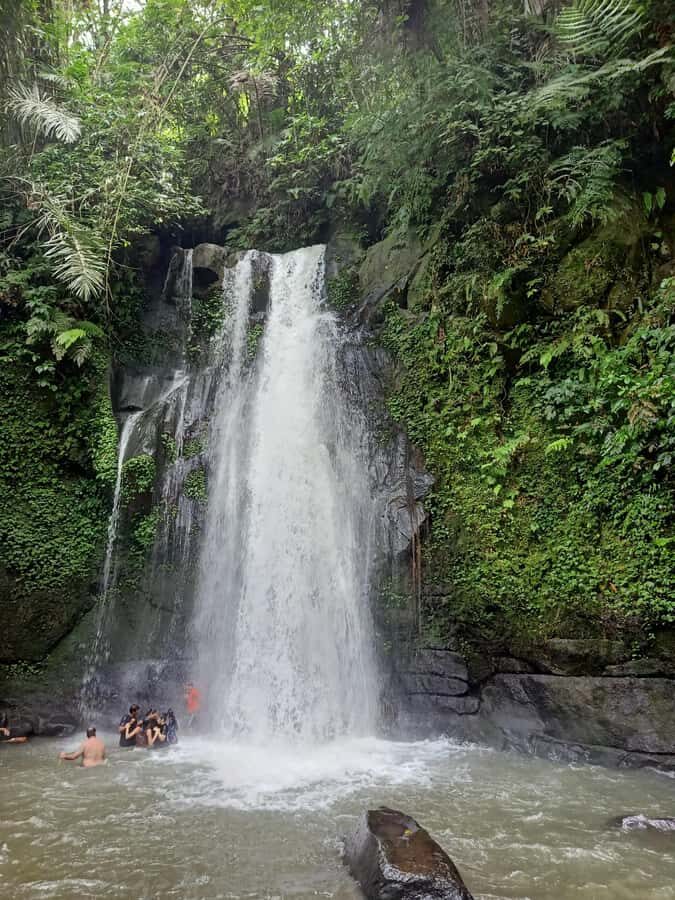Bali: Customize Private Day Tour with Driver-Guide - Rice Terraces: Tegalalang vs Jatiluwih (Pick Based on Your Time)