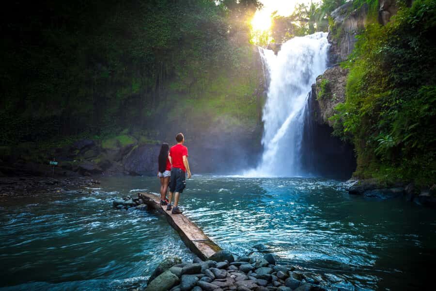 Bali: Customize Your Own Private Guided Tour in Bali - Central Bali: Ubud rice terraces, Monkey Forest, and the temple-and-water combo