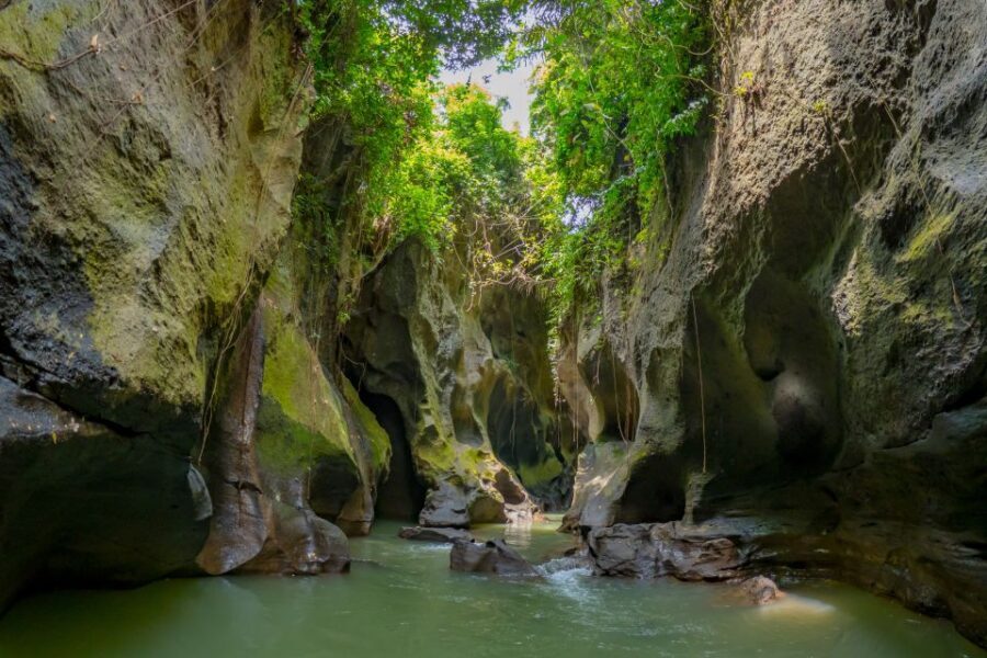 Bali: Customize Your Own Private Guided Tour in Bali - East Bali: Lempuyang Gate, Besakih, and the royal-palace vibe at Tirta Gangga