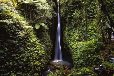 Bali: Customized Private Car Charter with Optional Guide - Choosing Your Ubud Day: Rice Terraces, Water Temples, and Monkey Forest