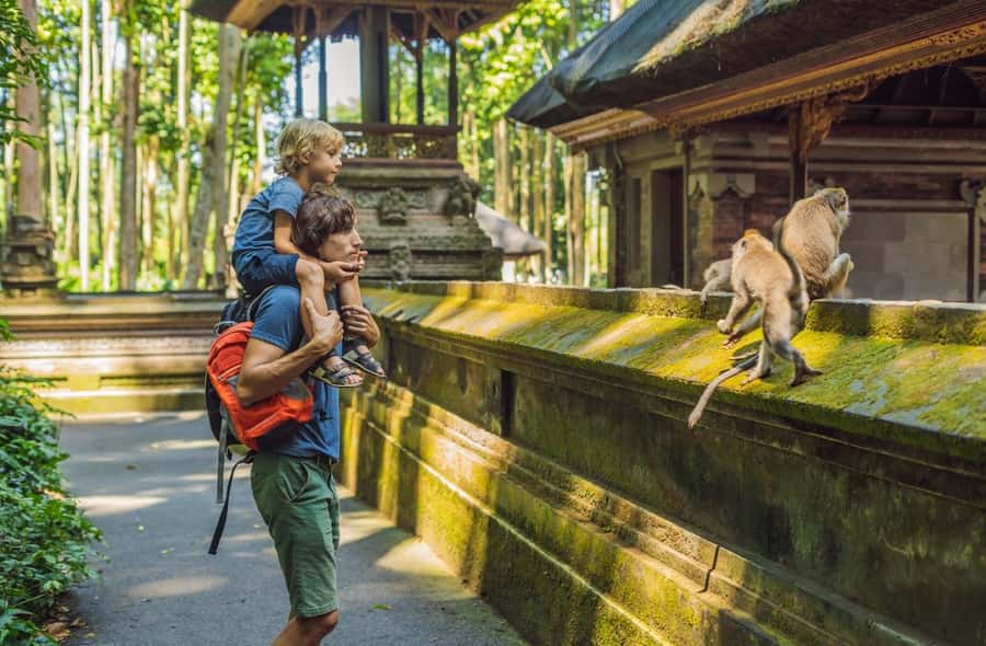 Bali: Customized Private Car Charter with Optional Guide - Uluwatu and South Bali Add-Ons: Kecak, Photos, and Massage