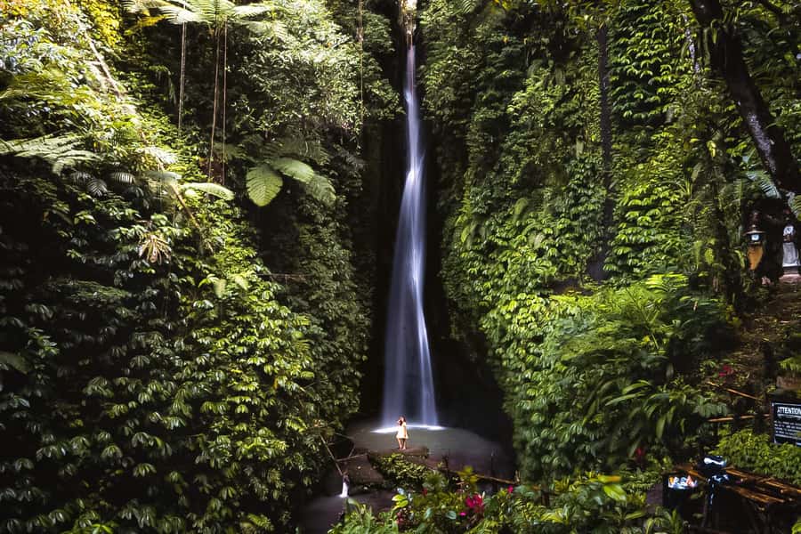 Bali: Customized Private Car Charter with Optional Guide - Choosing Your Ubud Day: Rice Terraces, Water Temples, and Monkey Forest