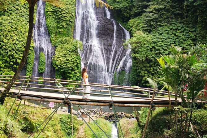 Bali-Customized Private Day Tour - Price and What $41 Per Person Really Buys You