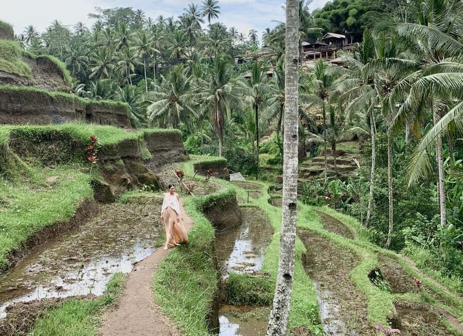 Bali: Customized Private Tour with a Female Guide - Price and value: what you’re really paying for at $24 per person