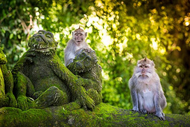 Bali Customized Private Tour - Your Bali itinerary: Stop 1 is the whole plan