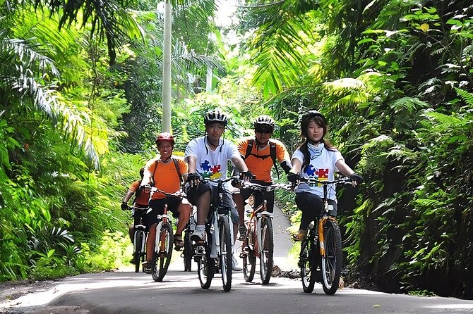 Bali Cycling and Ubud Waterfall Tour - A Private Bali Bike Day That Blends Countryside and Ubud