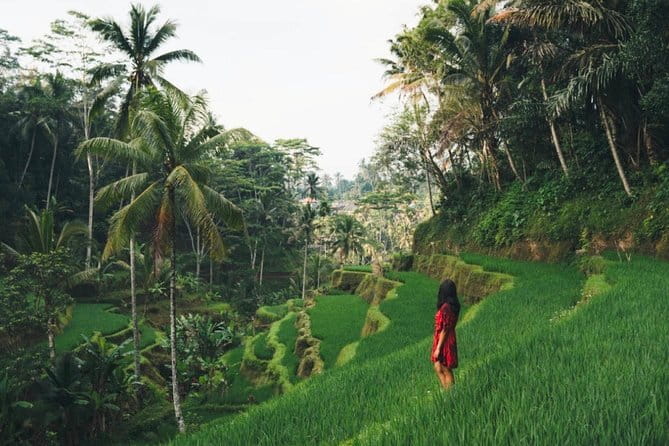Bali day trip : Batur Sunrise Hike and Hot Spring All inclusive - Price and value: what you’re really paying for