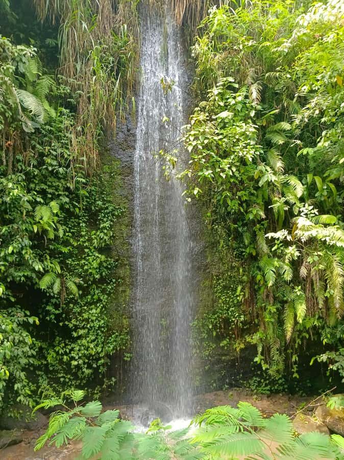 Bali : Day Trip to Besakih Temple & 2 Hidden Waterfalls - Planning Your East Bali Day: Pickup, Drive Time, and What Fills the Hours