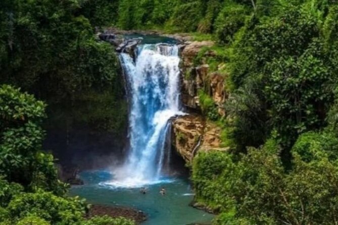 Bali Day Trip to Ubud Highlight Tour and Tanah Lot Temple - Guide and Communication: When Explanations Turn Stops Into Stories
