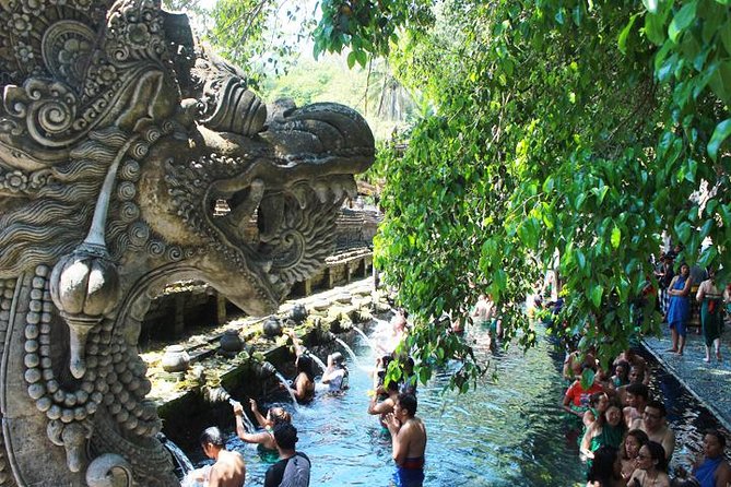 Bali Day Trip: Ubud Temples & Hidden Waterfalls - Price and Logistics: Why $39 Can Still Be a Real Deal