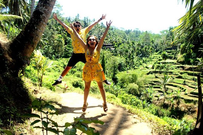 Bali Day Trip: Ubud Temples & Hidden Waterfalls - Who This Day Trip Fits Best (And Who Might Want Something Different)