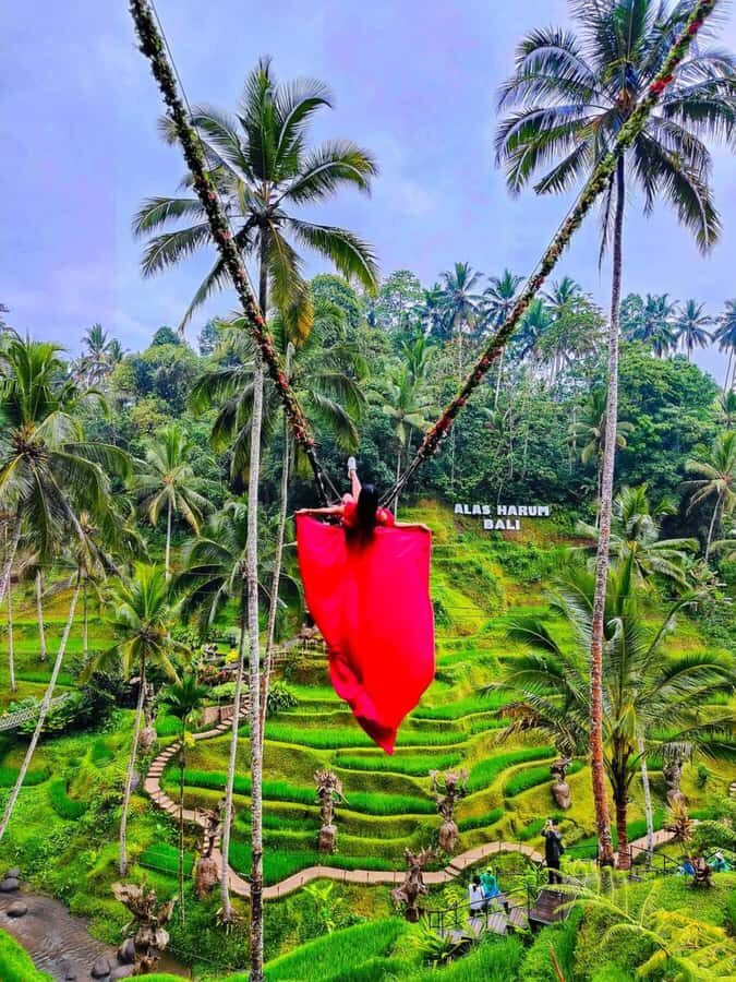 Bali : Design Your Customize Trip with Private Driver - Ubud culture and village life: temples, markets, rice terraces, and dance