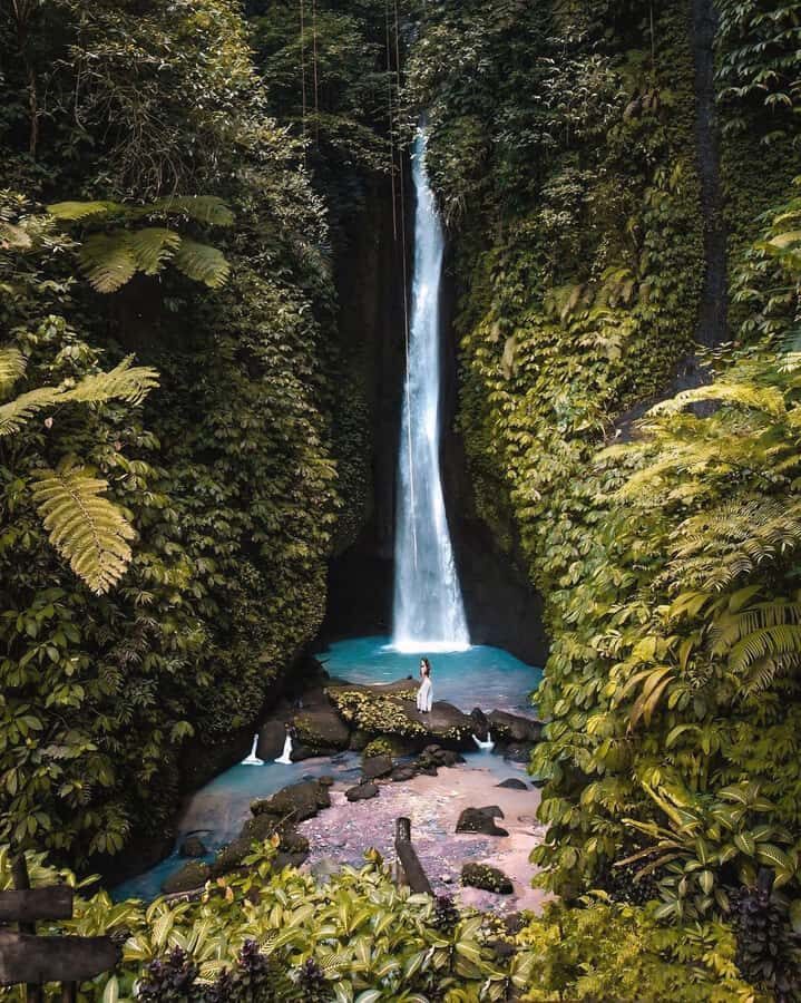 Bali: Discover Jungle Waterfalls and Rice Terraces - Key highlights worth marking