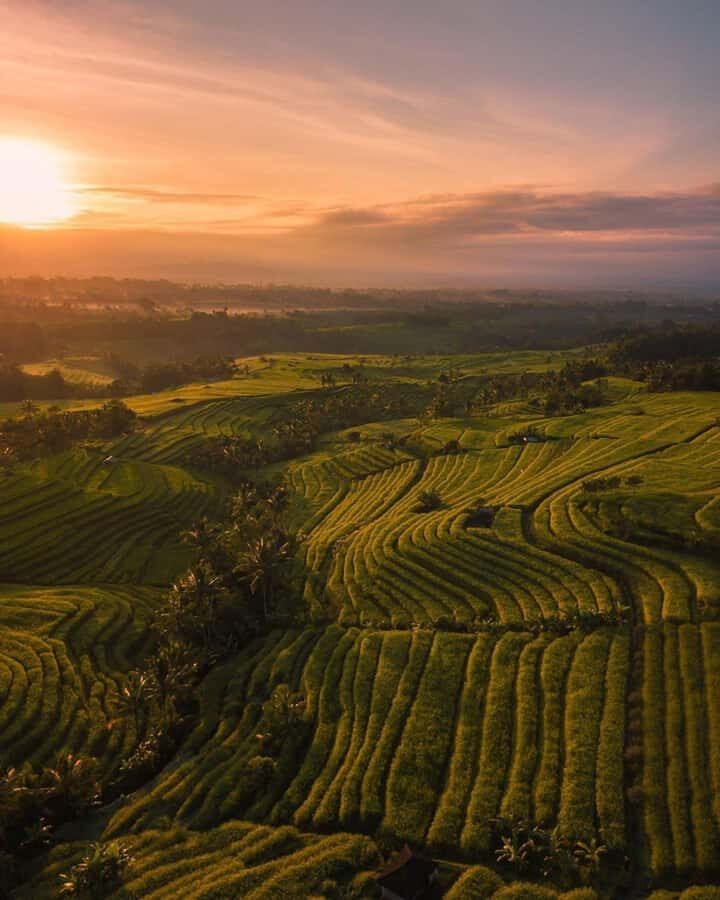 Bali: Discover Jungle Waterfalls and Rice Terraces - Who this Bali waterfall-and-terraces day suits best (and who should skip it)