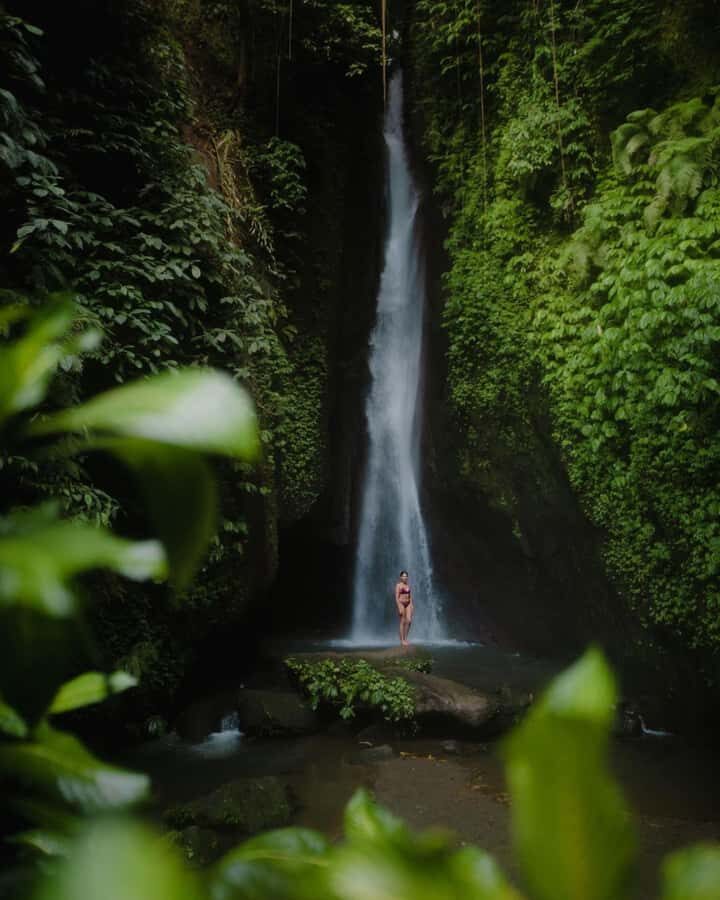 Bali: Discover Jungle Waterfalls and Rice Terraces - Jatiluwih rice terraces: traditional farming views after the jungle rush