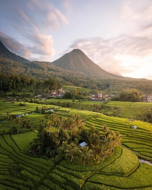 Bali: Discover Jungle Waterfalls and Rice Terraces - Price and value check: why $35 can feel like a steal