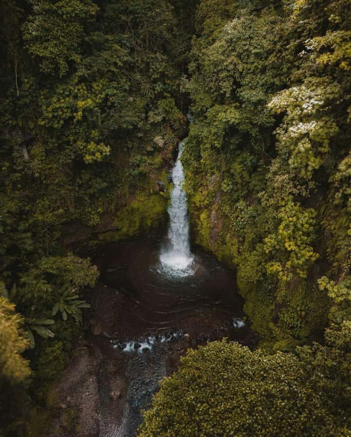 Bali: Discover Jungle Waterfalls and Rice Terraces - Nungnung Waterfall: tall, misty jungle steps and big-photo drama