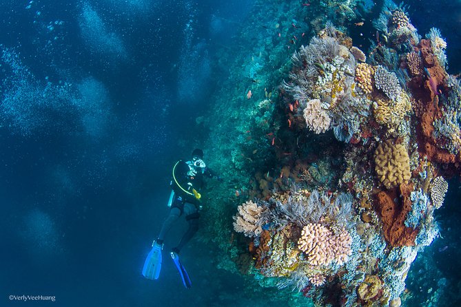 Bali Diving Day Trip-Manta Point/Tulamben Shipwreck-Fun Dive - A 7 AM Pickup That Makes Your Sea Day Feel Manageable