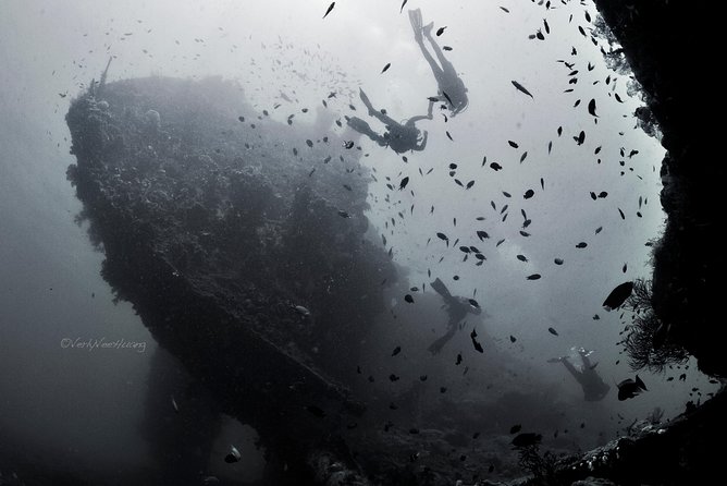 Bali Diving Day Trip-Manta Point/Tulamben Shipwreck-Fun Dive - USAT Liberty Wreck Near Tulamben: Coral, Portholes, and WWII Steel