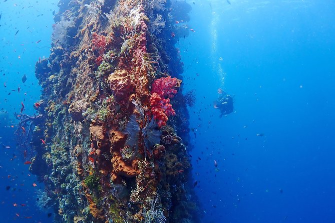 Bali Diving for Beginners: Tulamben Liberty Wreck - Coral Garden (or Drop Off) first: the warm-up that makes the wreck feel easier