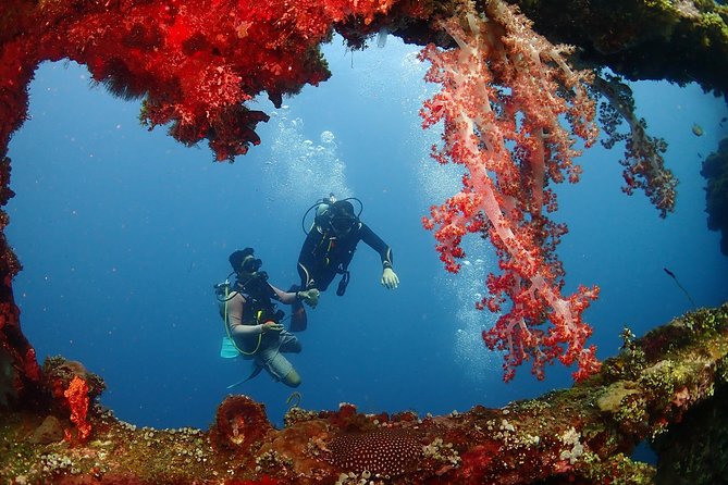 Bali Diving for Beginners: Tulamben Liberty Wreck - The USS Liberty Wreck: what you’ll experience and what to pay attention to