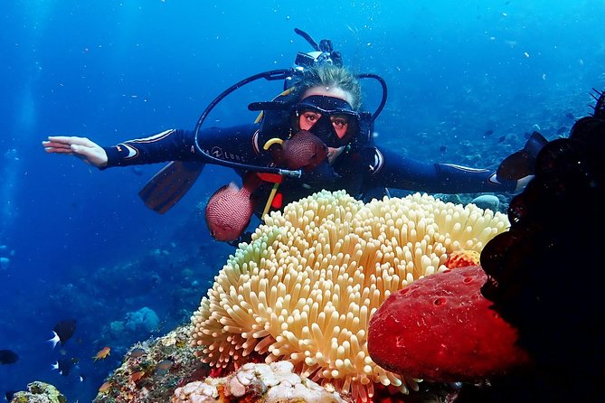 Bali Diving for Beginners: Tulamben Liberty Wreck - Between the stops: coffee, tea, lunch, and gear comfort