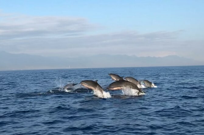 Bali Dolphin Lovina tour and Ulundanu Beratan - 3:30 a.m. pickup: how this schedule actually feels