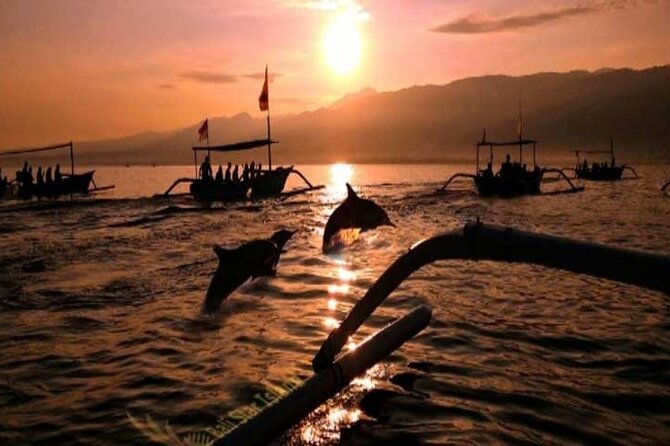 Bali Dolphin Lovina tour and Ulundanu Beratan - Who should book this Lovina + Ulun Danu Beratan combo