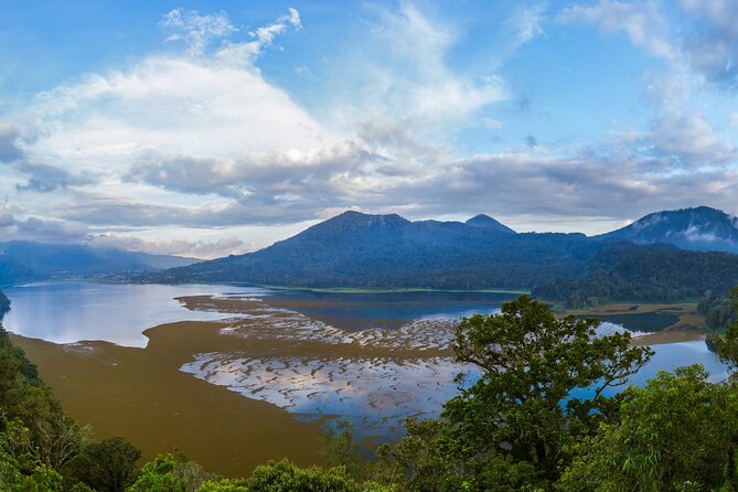 Bali : Dolphin Sunrise Experience Tour Private All Inclusive - Aling-Aling Waterfall in North Bali: Jungle Energy With Extra Costs