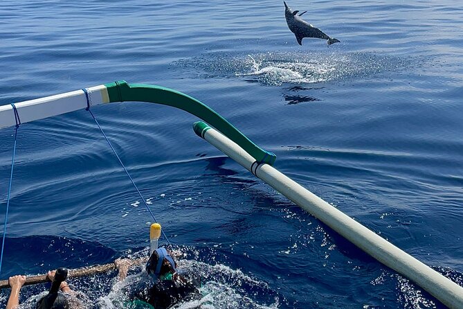 Bali : Dolphin Sunrise Experience Tour Private All Inclusive - Optional Luwus Village Coffee Stop: A Local Break That Doesn’t Feel Tourist-Heavy
