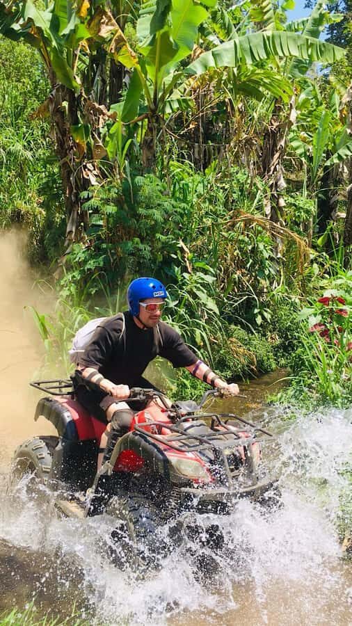 Bali: Dolphin Swimming Tour with ATV Quad Bike & Waterfall - Price and Value: Why This Bundle Works at Around $81