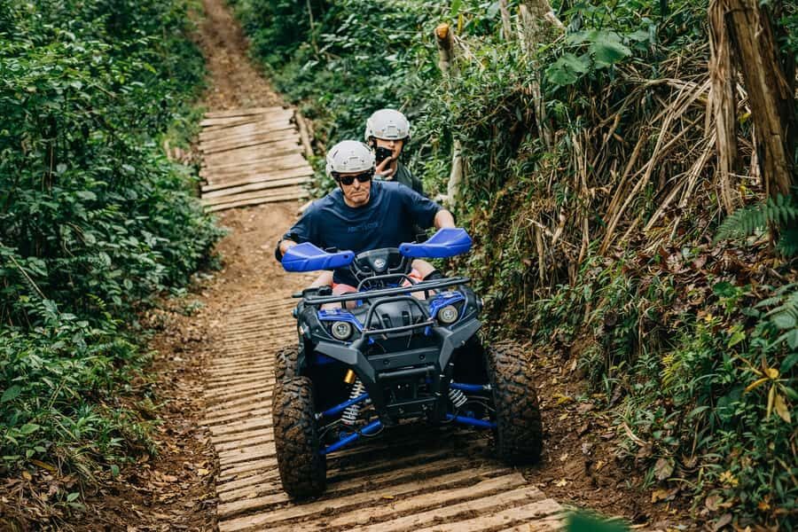 Bali: Dolphin Swimming Tour with ATV Quad Bike & Waterfall - Snorkeling in Lovina Waters: A Different Kind of Underwater Show