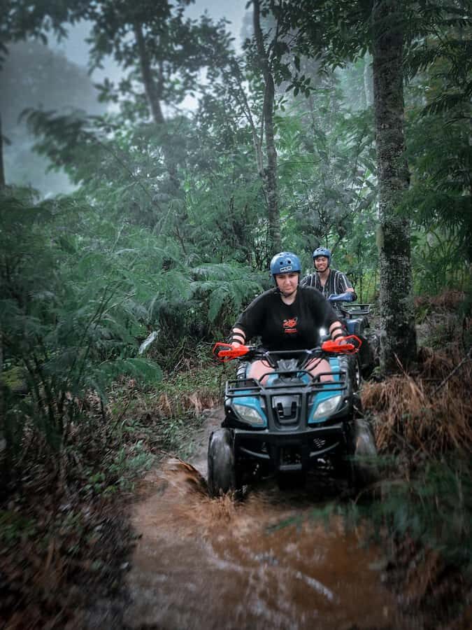 Bali: Dolphin Swimming Tour with ATV Quad Bike & Waterfall - Coffee, Tea, and a Photo Stop That Actually Helps the Day