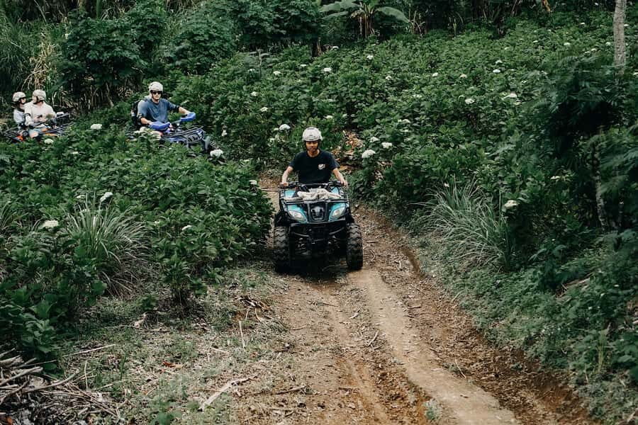Bali: Dolphin Swimming Tour with ATV Quad Bike & Waterfall - Hydrangea Garden Stop: A Quick Reset for Photos and Breathing