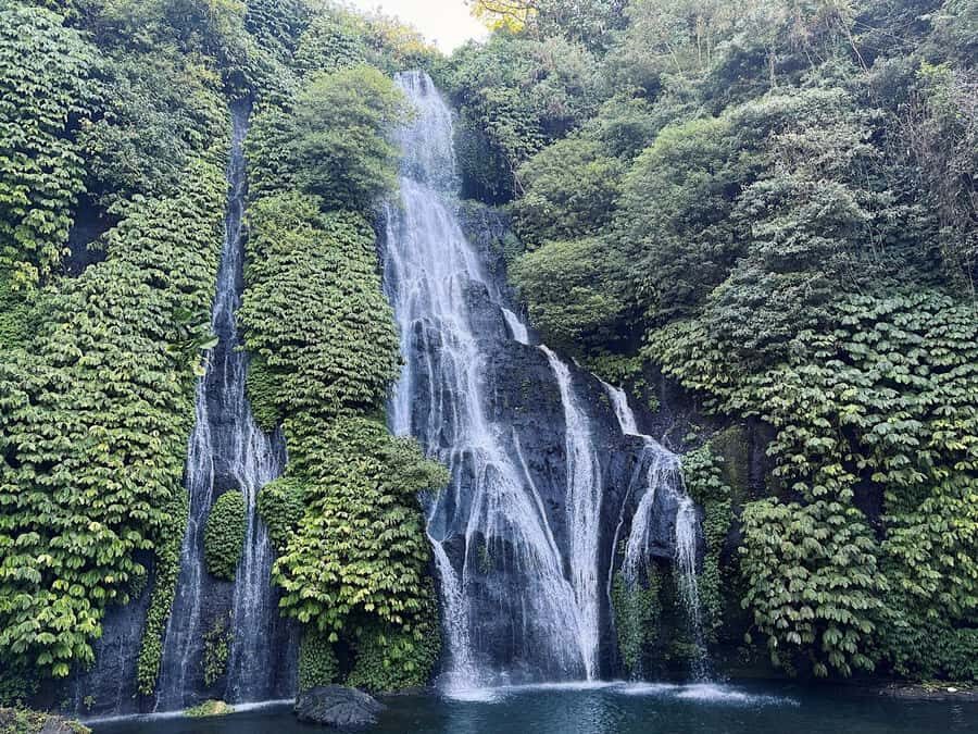 Bali: Dolphin Swimming Tour with ATV Quad Bike & Waterfall - Wanagiri Hidden Hill: Natural Pool Time and the Jumping Moment