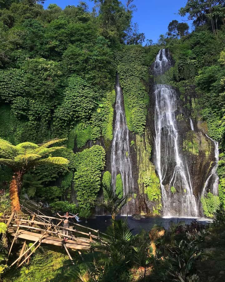 Bali: Dolphin Watching, Snorkeling, and Munduk Day Tour - Price and value: what $85 buys for a 10-hour private day
